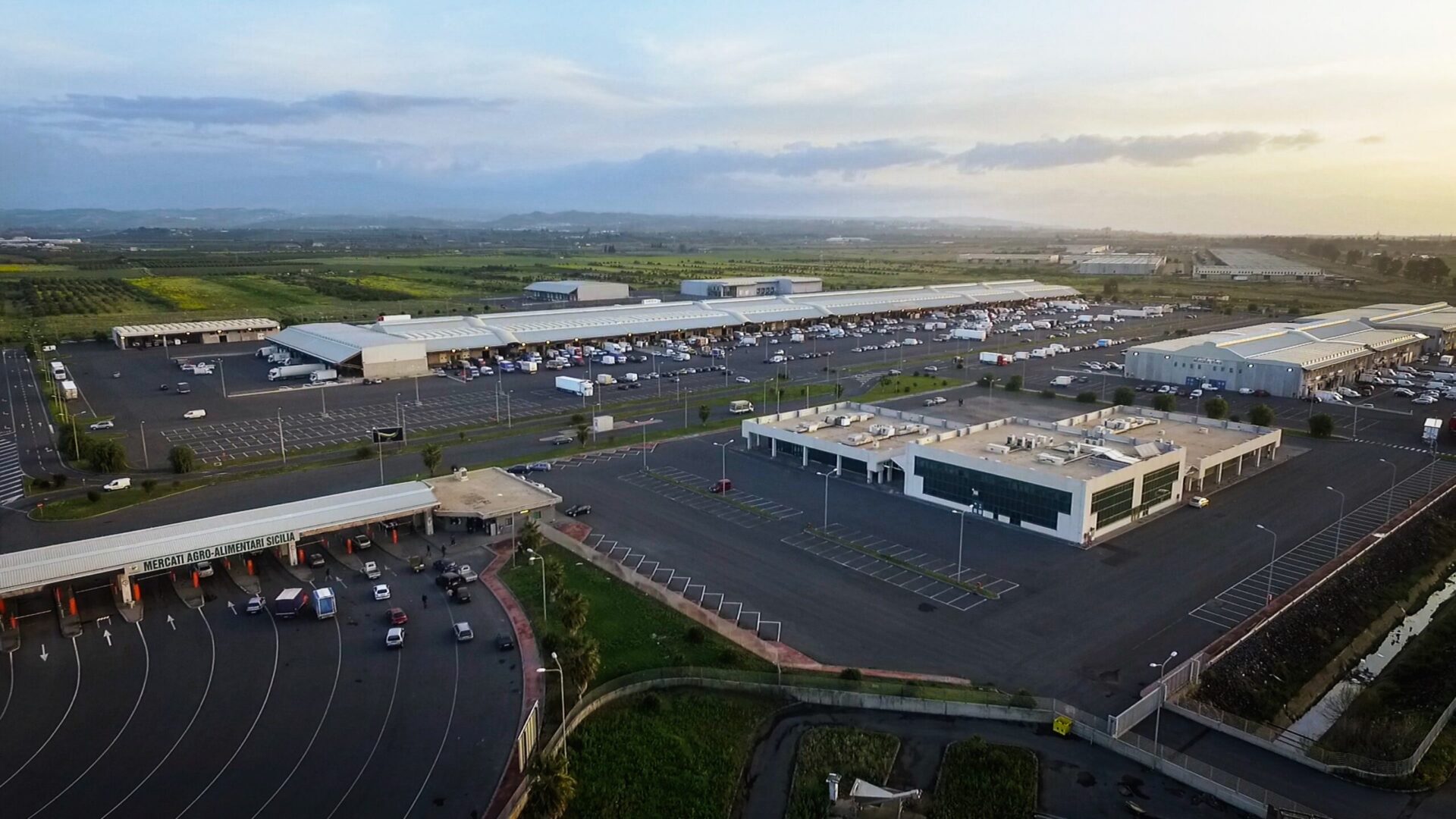 Area Logistica MAAS — testata del mercato