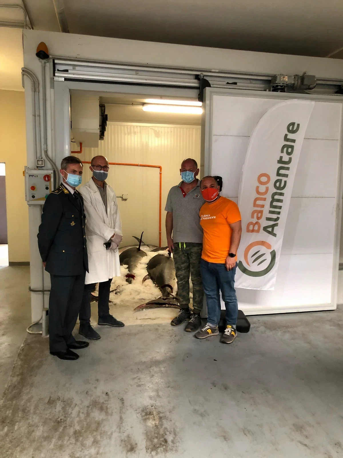 Banco Alimentare — foto 5