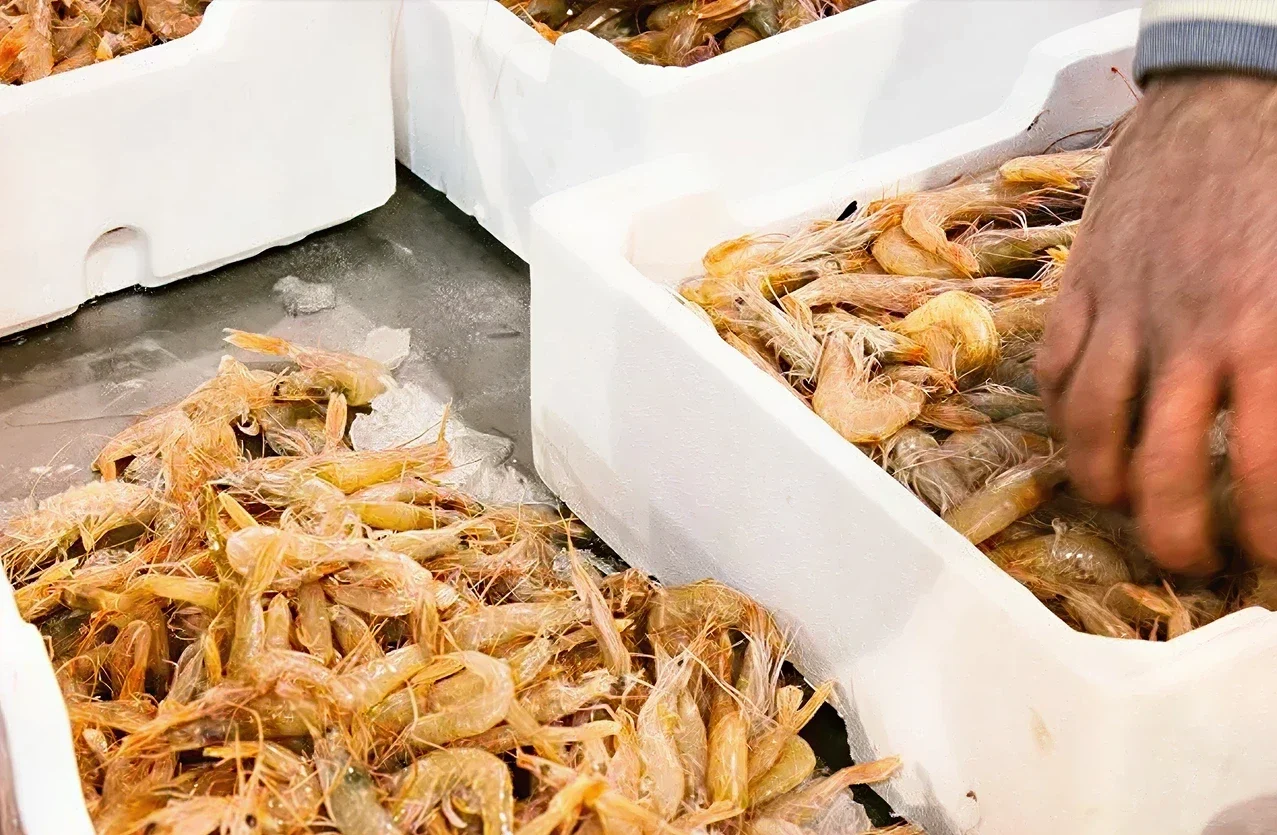 Acquisti al MAAS per privati