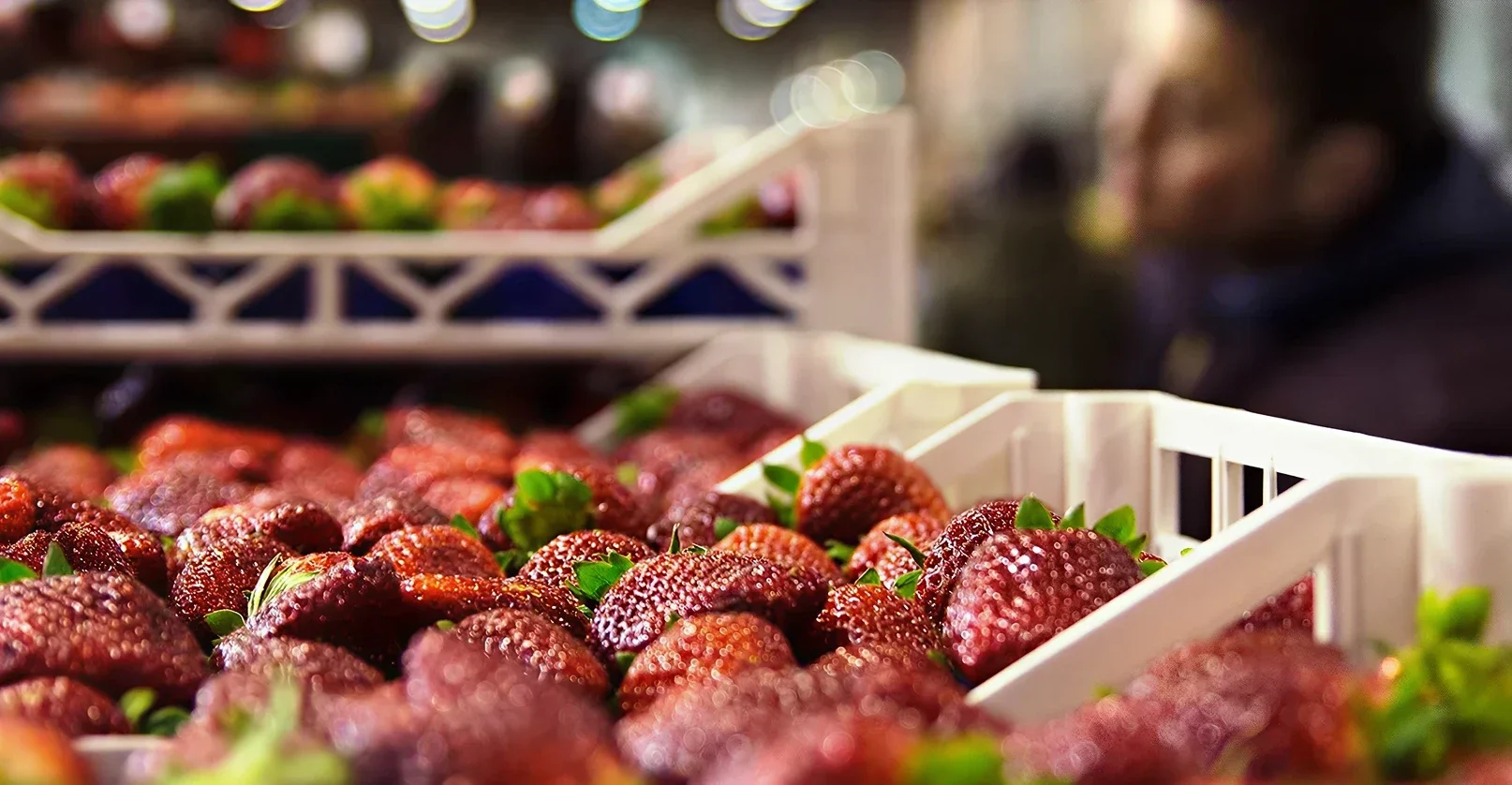 Mercato Ortofrutta MAAS