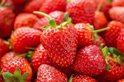 Le Fragole