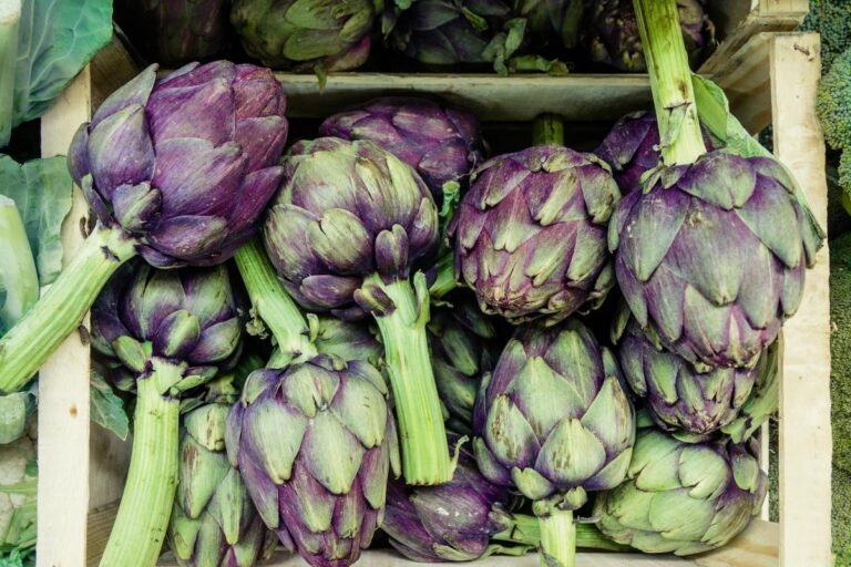Carciofi