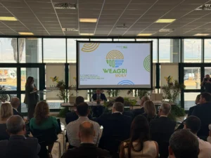 WEAGRI SICILY: la Sicilia che vuole diventare modello di futuro tra agroalimentare, energia e finanza
